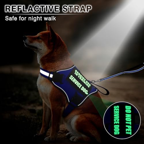 Service Dog Vest Harness and Leash Set+10 Patches, Easy Walk Blue XL - Image 3