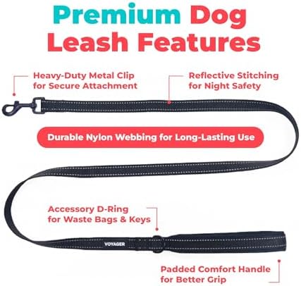 Best Pet Supplies Voyager Nylon Dog Leash - Image 2