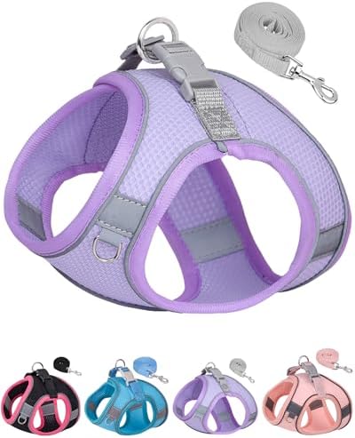 Dog Harness for Small Medium Sized Dog, Step in Puppy Harness and Leash Set by Aecllcea