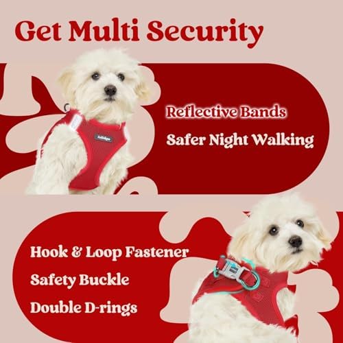 rabbitgoo Step-in Small Dog Harness, Puppy Vest - Image 6