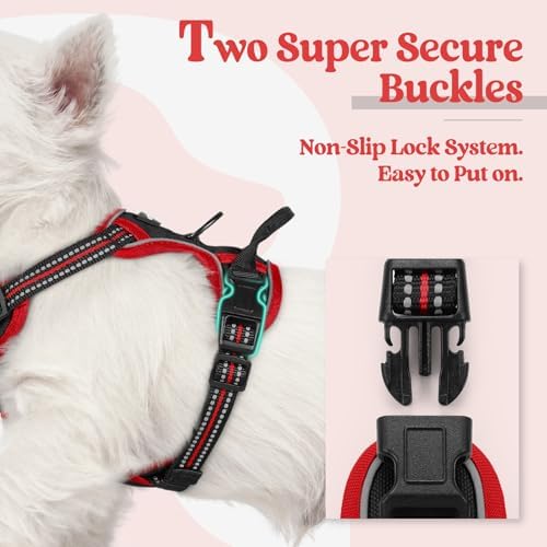 rabbitgoo Dog Harness, No Pull for Small Dogs - Image 3