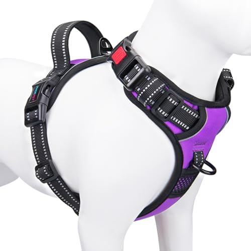 PHOEPET No Pull Dog Harnesses for Small Dogs Reflective Adjustable by PHOEPET