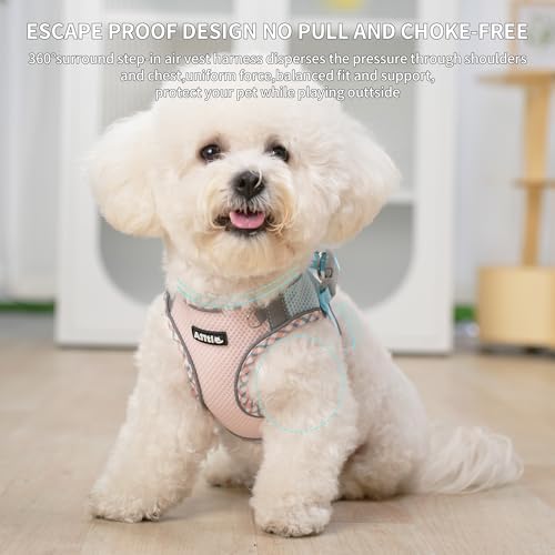 AIITLE Small Dog Harness and Leash Set - Image 6