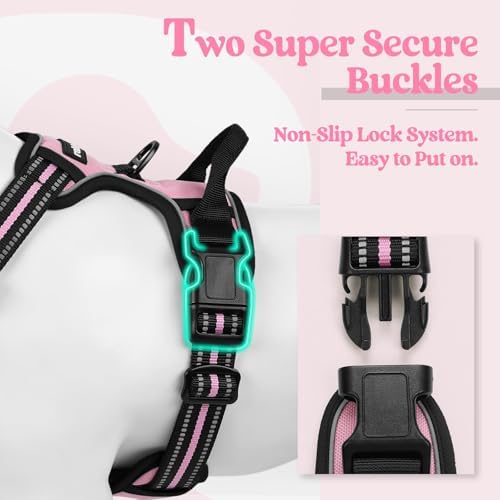 rabbitgoo Dog Harness, No Pull for Small Dogs - Image 3