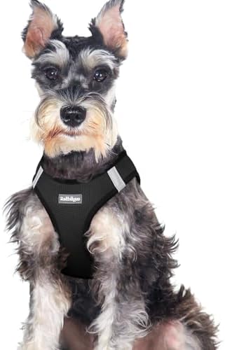 rabbitgoo Step-in Small Dog Harness, Puppy Vest by rabbitgoo