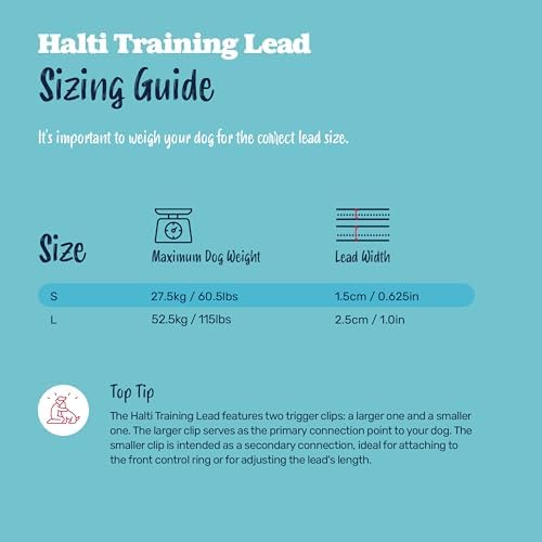 Halti Training Dog Leash | Size S, Deep Walnut | 2m Length - Image 5