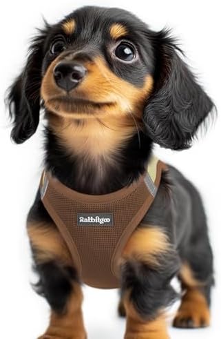 rabbitgoo Step-in Small Dog Harness, Puppy Vest by rabbitgoo