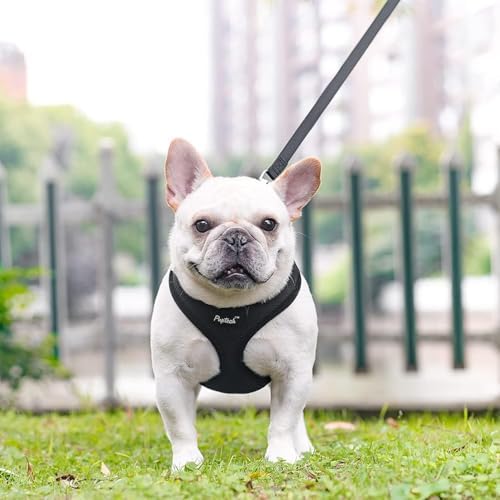PUPTECK Small Dog Harness and Leash Set No Pull - Image 6
