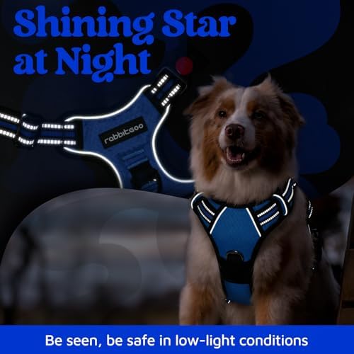 rabbitgoo Dog Harness for Large, No Pull 3 Buckles Easy On & Off - Image 6