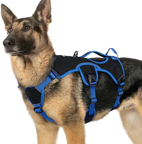 rabbitgoo Escape Proof Dog Harness by rabbitgoo