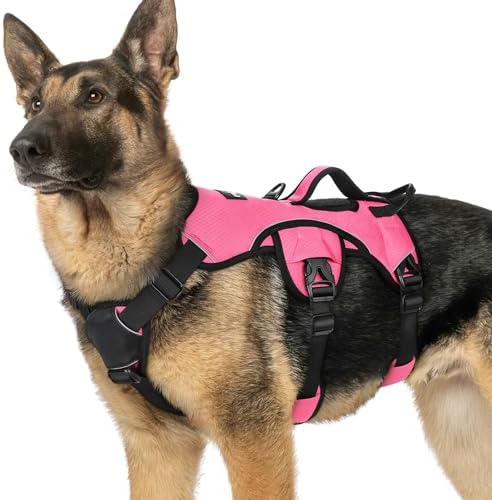 rabbitgoo Escape Proof Dog Harness by rabbitgoo
