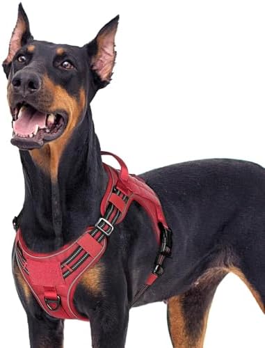 rabbitgoo Tactical Dog Harness for Large Dogs, No Pull Service Pet Vest by rabbitgoo