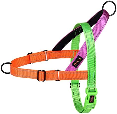Didog No Pull Dog Harness for Medium Dogs, Soft Padded Handle by Didog