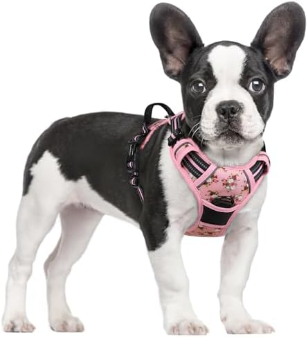 rabbitgoo Dog Harness, No Pull for Small Dogs by rabbitgoo