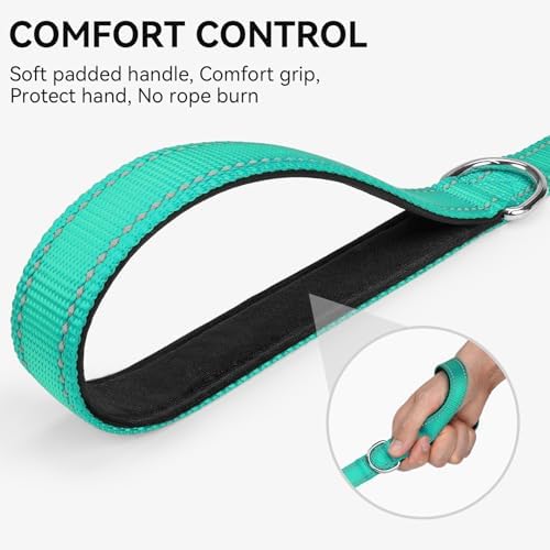 Joytale Reflective Dog Leash for Medium & Large Dogs, 5 FT x 1" - Image 3