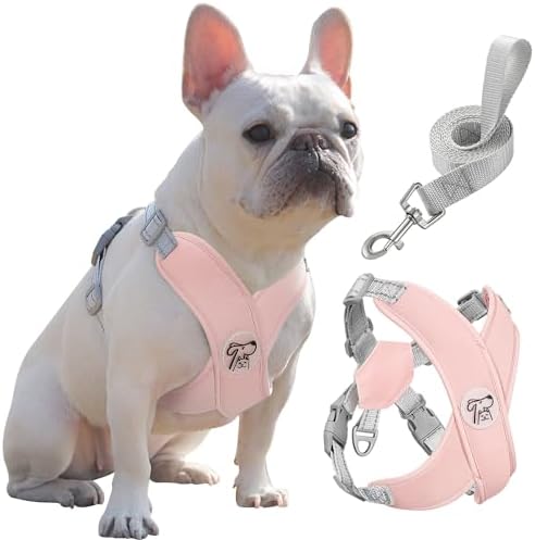 Pawaboo Small Dog Harness and Leash Set, Puppy Harness X-Frame Adjustable by Pawaboo