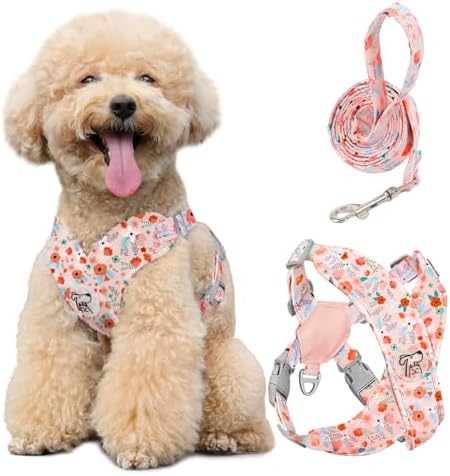 Pawaboo Small Dog Harness and Leash Set, Puppy Harness X-Frame Adjustable by Pawaboo