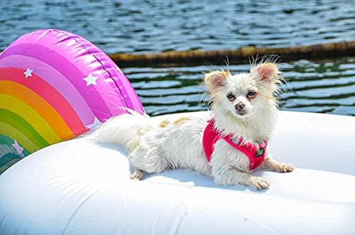 EcoBark Step in Reflective Soft Mesh Small Dog Harness - Image 5