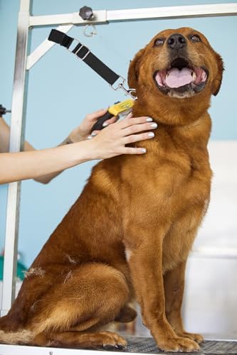 Pet Dog Grooming Loops Adjustable Nylon Restraint Loop Table Arm Accessories - Image 3