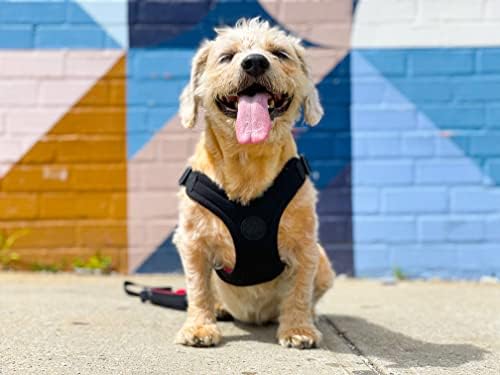 Gooby Escape Free Sport Dog Harness, Choke-Free - Image 6