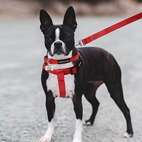 No Pull Dog Harness, Leash & Collar Set, Adjustable Step-in Vest - Image 5