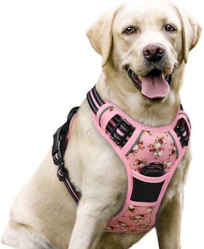 rabbitgoo Dog Harness, No Pull for Large Dogs by rabbitgoo