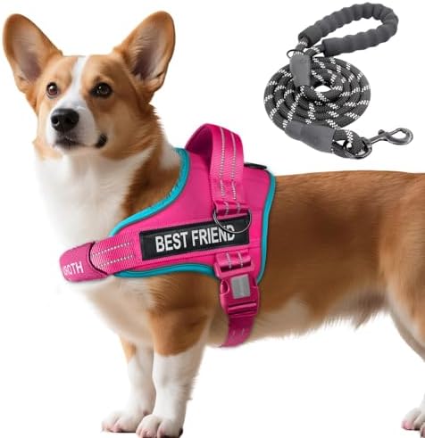 AUROTH Dog Harness and Leash Set Small Sized Dog, No Pull Escape Proof Vest by AurothPets
