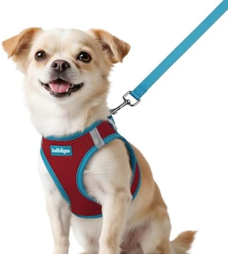rabbitgoo Dog Harness Small Sized and Leash Set, Step in Soft Vest by rabbitgoo