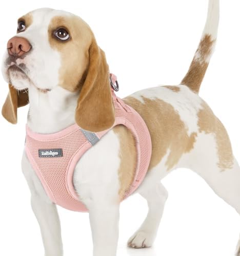 rabbitgoo Step-in Small Dog Harness, Puppy Vest by rabbitgoo