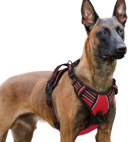 rabbitgoo Dog Harness for Large, Updated Easy On & Off by rabbitgoo