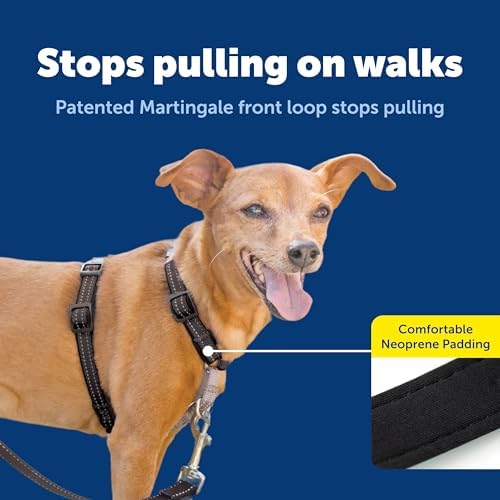 PetSafe 3 in 1 No-Pull Dog Harness - Image 4