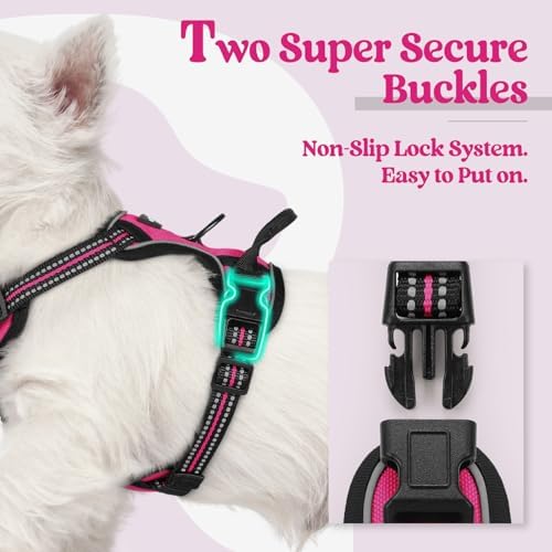 rabbitgoo Dog Harness No Pull - Image 3