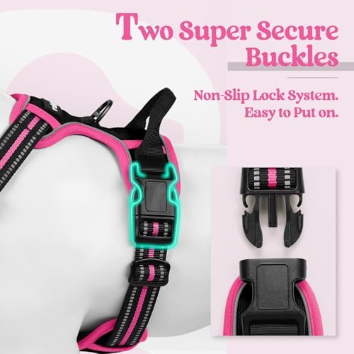rabbitgoo Dog Harness, No Pull for Large Dogs - Image 3