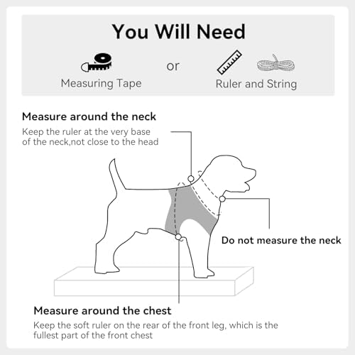 Joytale Step-in Dog Harness, Soft Breathable Mesh - Image 6