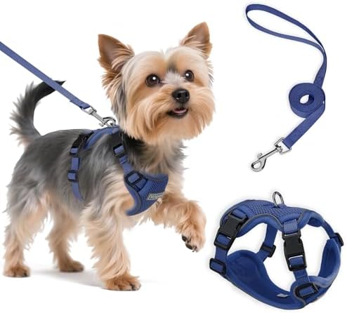 Small Dog Harness and Leash Set, Adjustable Small Sized Pet Vest by Unknown