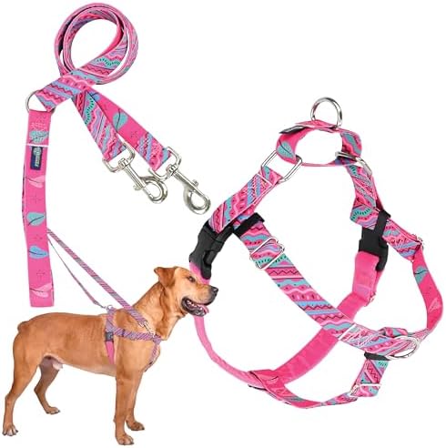 2 Hounds Design Freedom No Pull Dog Harness and Leash by 2HoundsDesign
