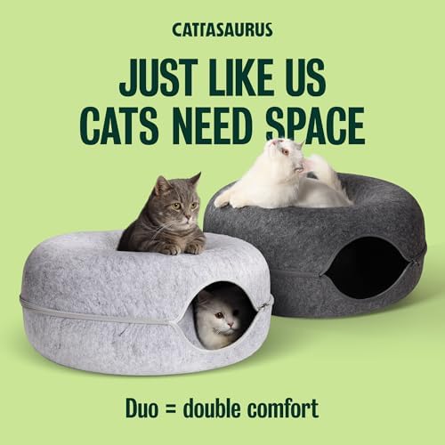 Cattasaurus Peekaboo Cat Cave Donut - Image 5