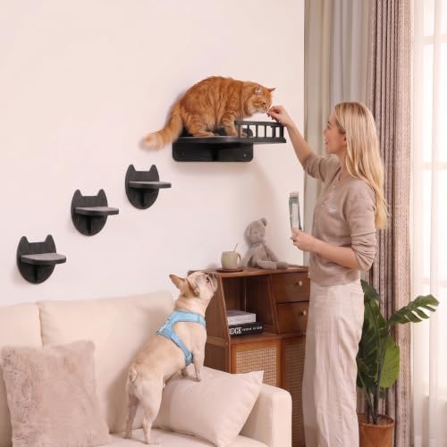 Cat Wall Shelves, Modern Cat Wall Furniture - Image 6