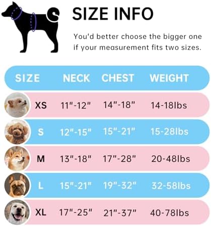IVY&LANE No Pull Dog Harness for Small Dogs, Reflective Dog Vest Harness - Image 2