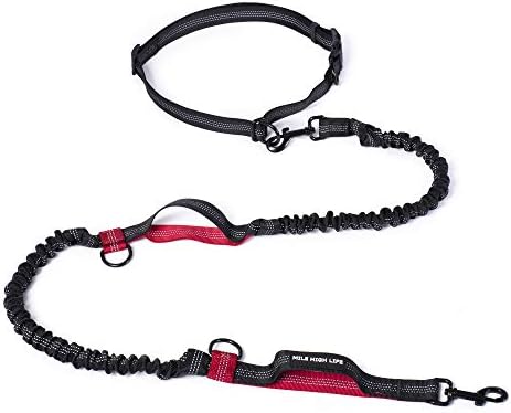Mile High Life Hands Free Leash, Waist Leash by MileHighLife