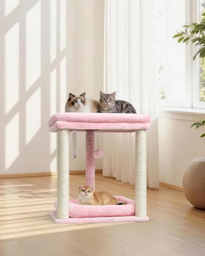 SYANDLVY Small Cat Tree for Indoor Cats - Image 2