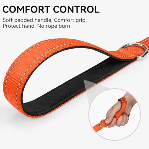 Joytale Reflective Dog Leash for Small Dogs, 6 FT x 3/4" - Image 3