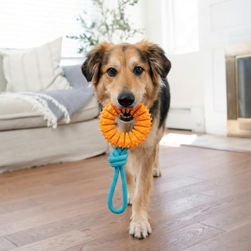 Dental Chew Wheel Durable Dog Toy, Tug & Chew, Mint Scent - Image 5