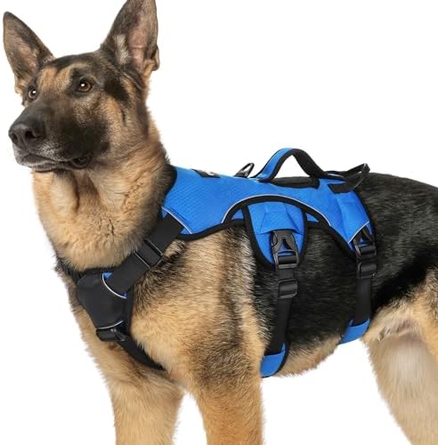 rabbitgoo Escape Proof Dog Harness by rabbitgoo