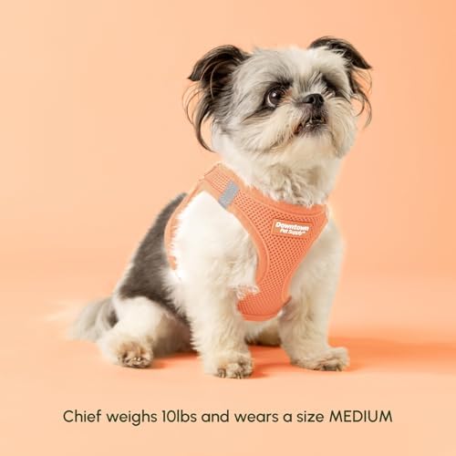 Pastel Step-In Harness for Small Dogs - Image 4