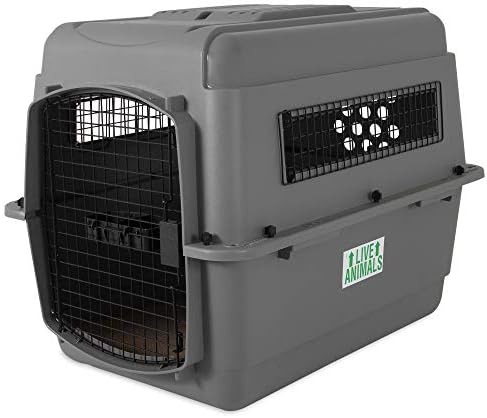 Petmate Sky Kennel, Air Travel, Dog Crate by Petmate