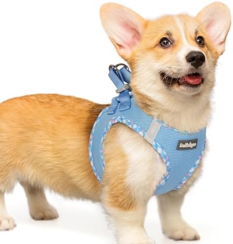 rabbitgoo Step-in Small Dog Harness, Puppy Vest by rabbitgoo