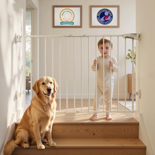 Babelio Baby Gate for Stairs, Kitchen & Doorways, No Bottom Bar| Easy by BABELIO
