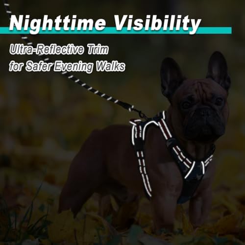 BARKBAY Dog Harness for Small Sized Dog No Pull Mesh 2 Clips Dog Vest - Image 5
