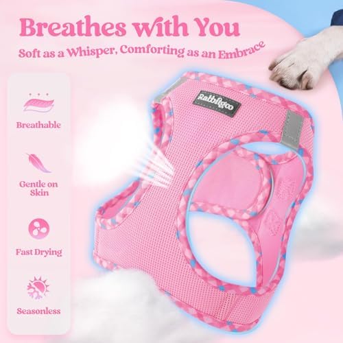rabbitgoo Dog Harness Medium Sized and Leash Set, Step-in Puppy Pet Vest - Image 3